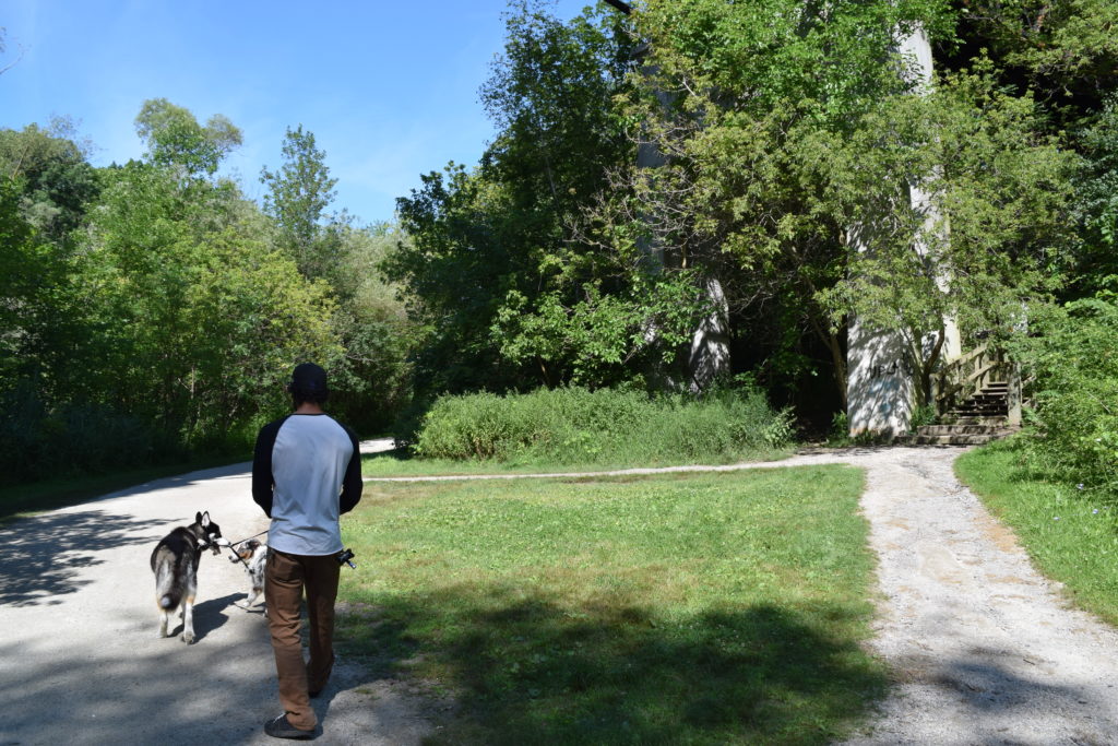 Matt and the dogs near the long staircase exit