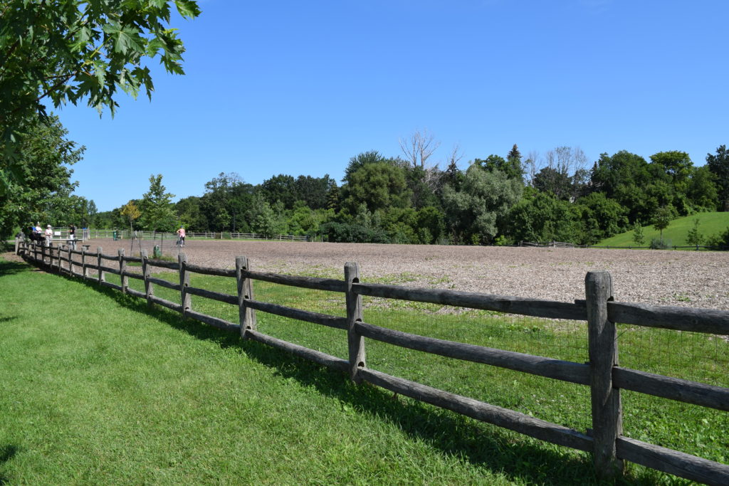 Cedarvale dog park East entrance